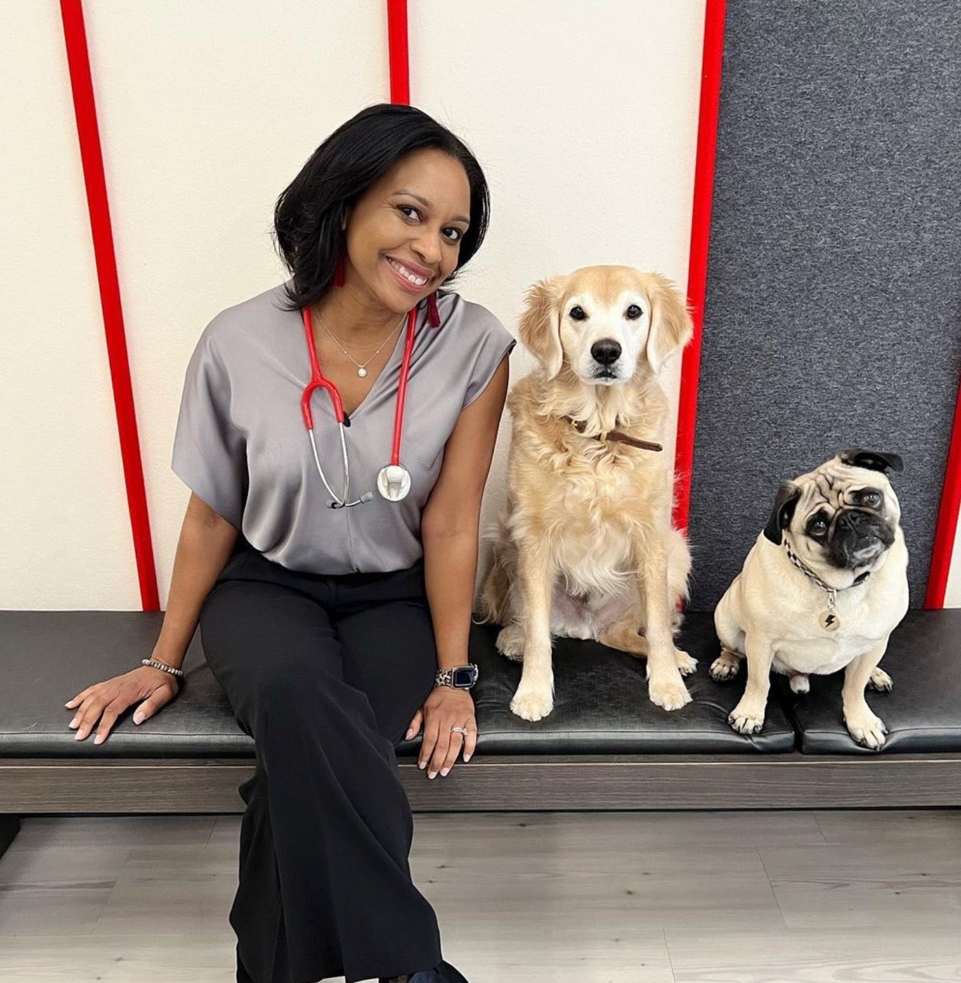 veterinär som rekommenderar en calming cape sitter på en bänk bredvid två hundar