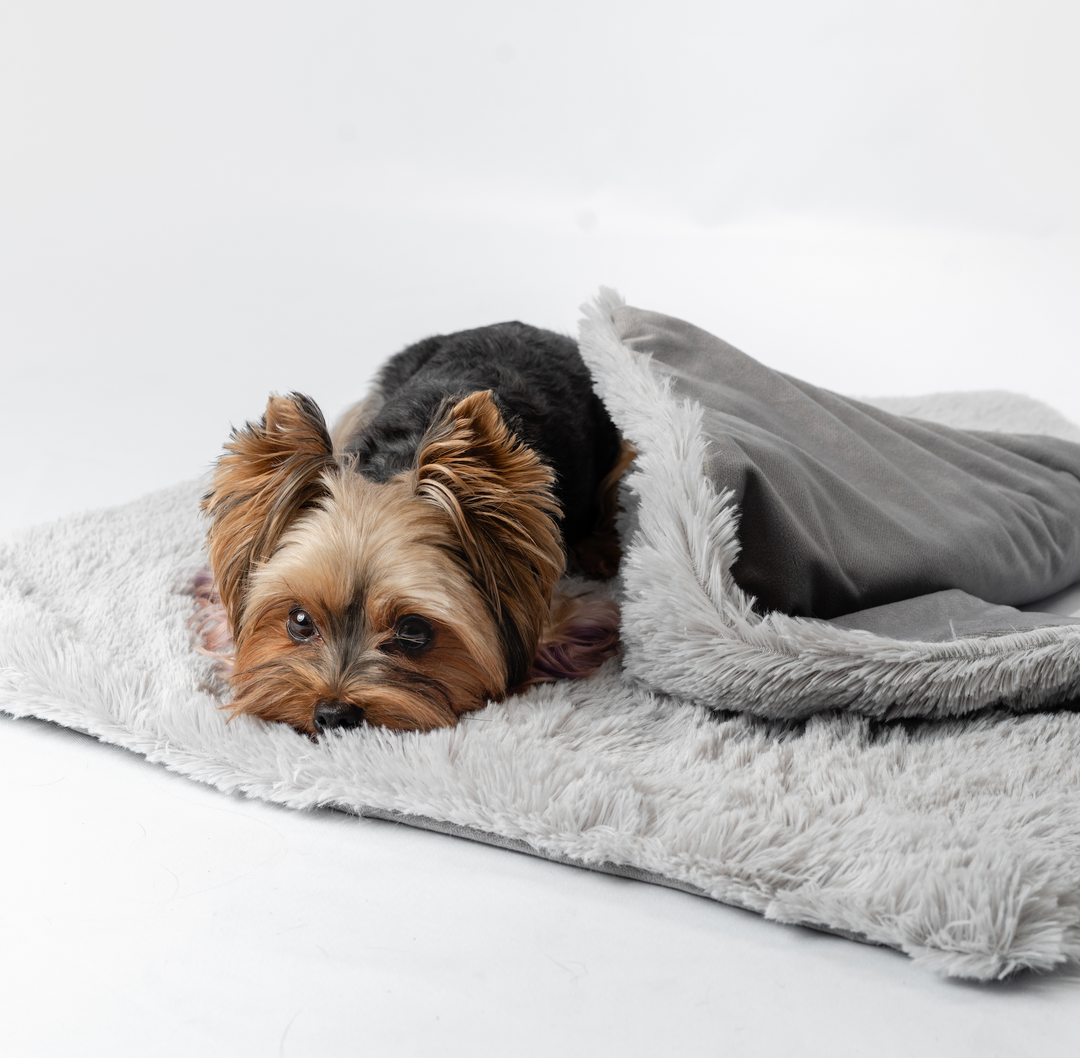 Tyngdtäcke för hund