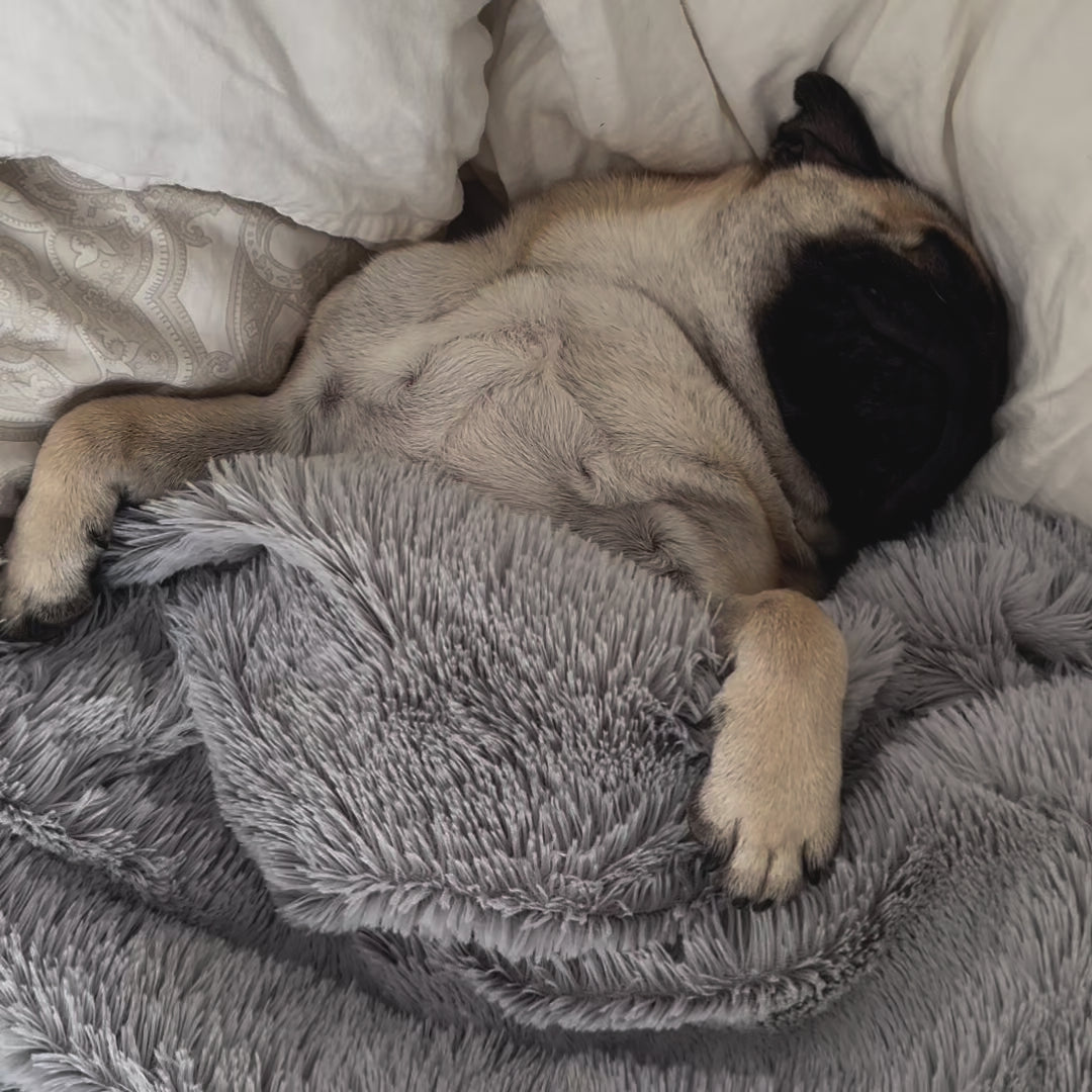 Tyngdtäcke för hund