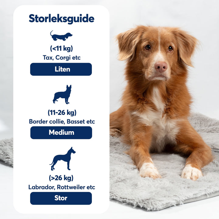 Tyngdtäcke för hund